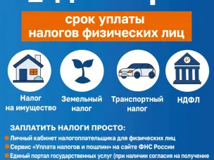 1 декабря - срок уплаты налогов физических лиц